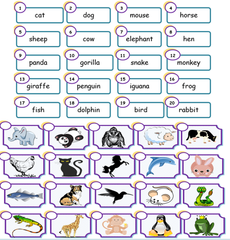 Unit 3 Activities: Animals - Match the Animals | Masa Israel