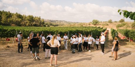 where to volunteer in israel